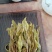 冰岛南迫2019年古树头春