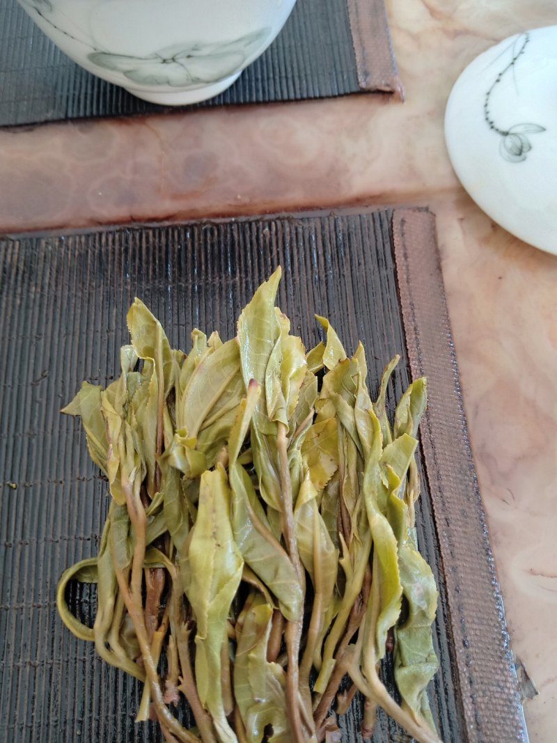 冰岛南迫2019年古树头春