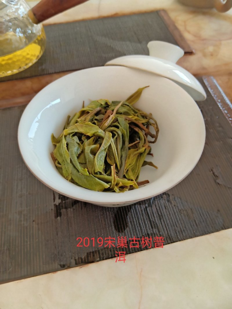 冰岛南迫2019年古树头春