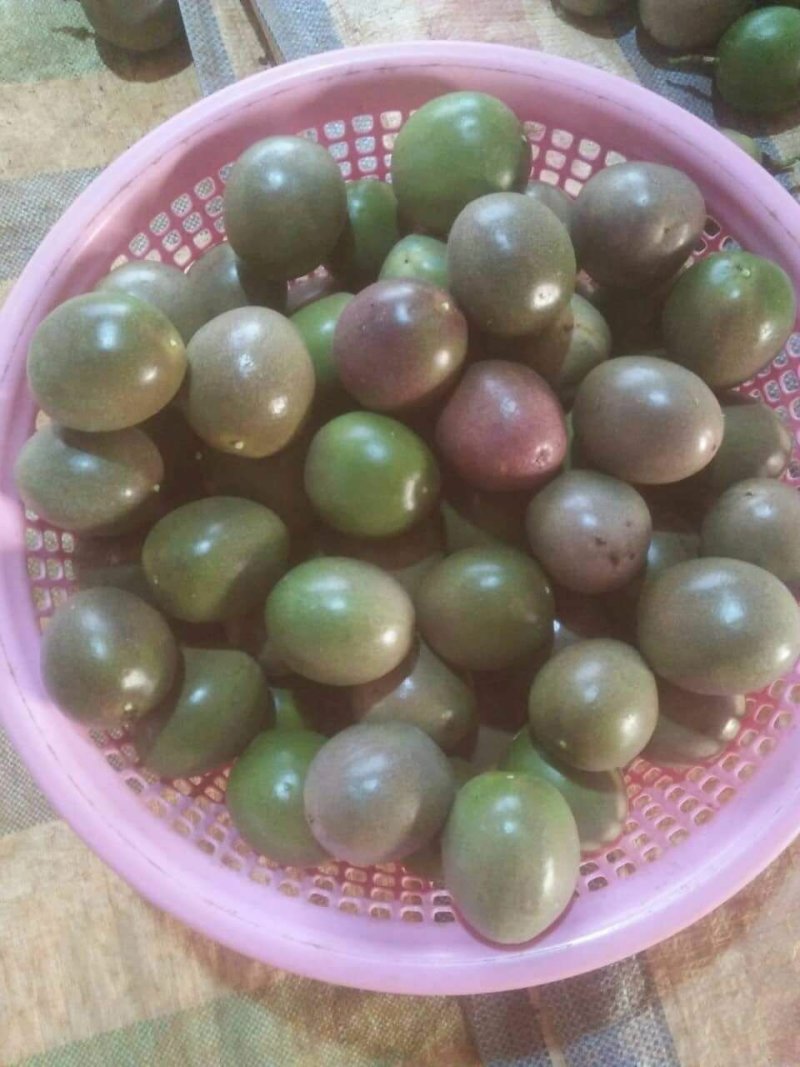 百香果