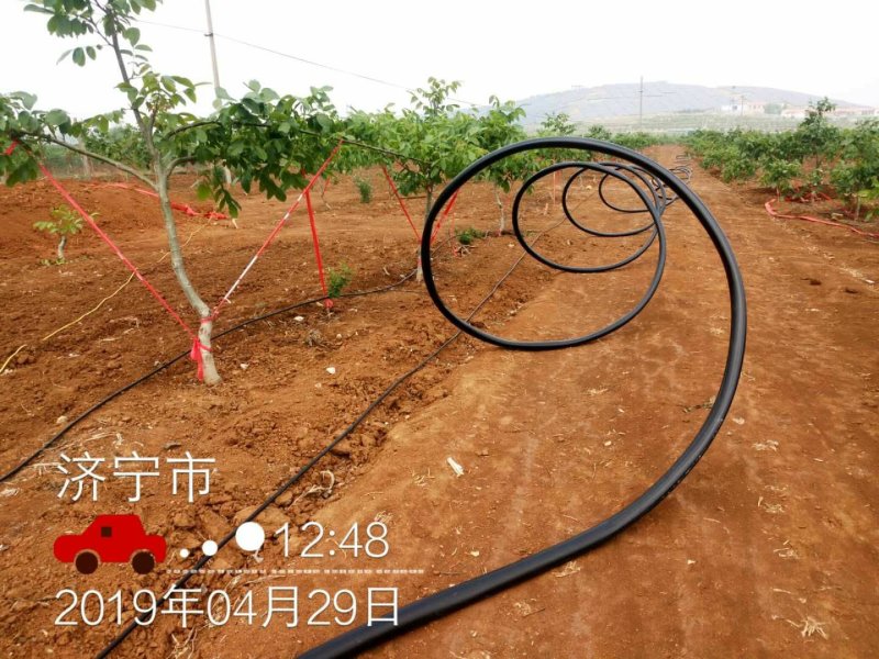 pe管滴灌微喷喷灌用主管支管，抗老化黑塑料管pe管材