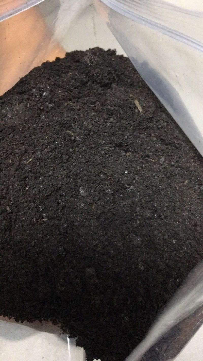 羊粪发酵纯羊粪保证质量正规发酵不含杂质支持视频看货