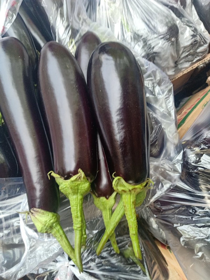 茄子