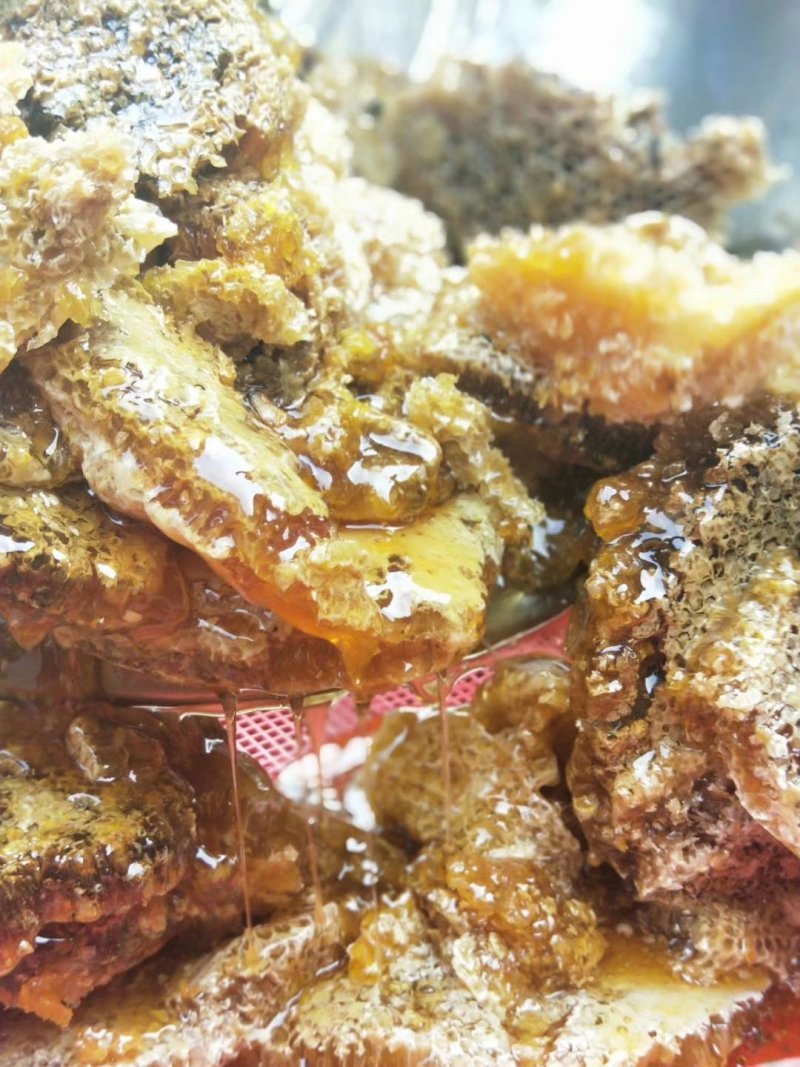 西双版纳纯天然野生蜂蜜，零添加