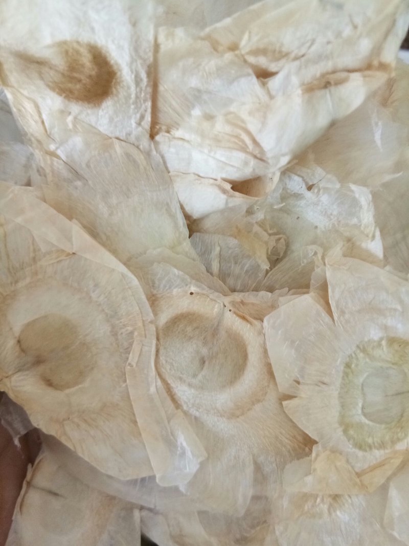 木蝴蝶广西无硫千层纸新鲜干货干净无杂