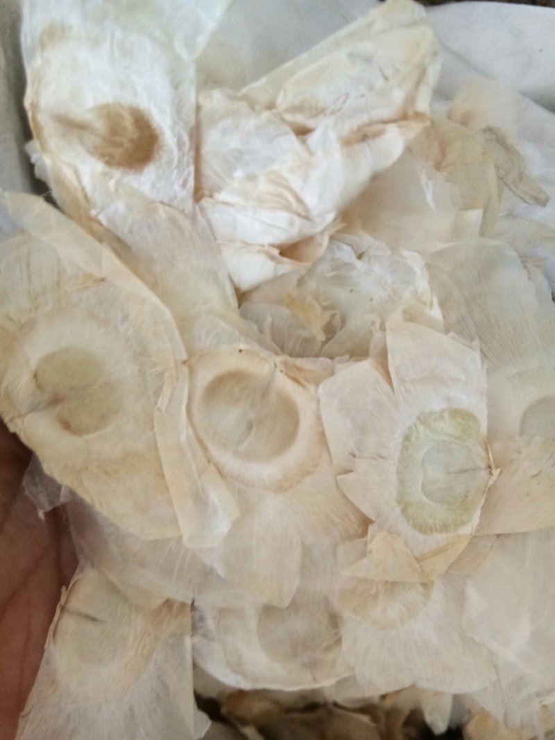 木蝴蝶广西无硫千层纸新鲜干货干净无杂