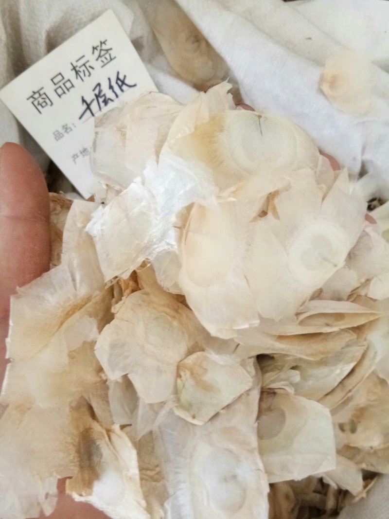 木蝴蝶广西无硫千层纸新鲜干货干净无杂