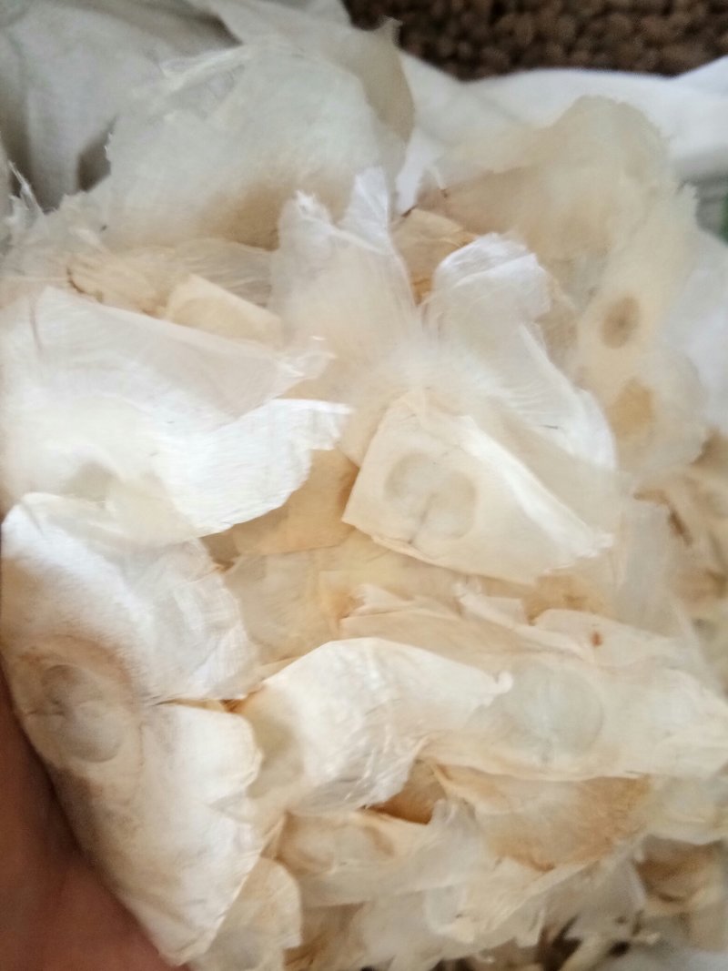 木蝴蝶广西无硫千层纸新鲜干货干净无杂