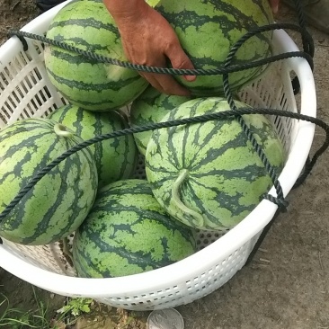 8424以上市，