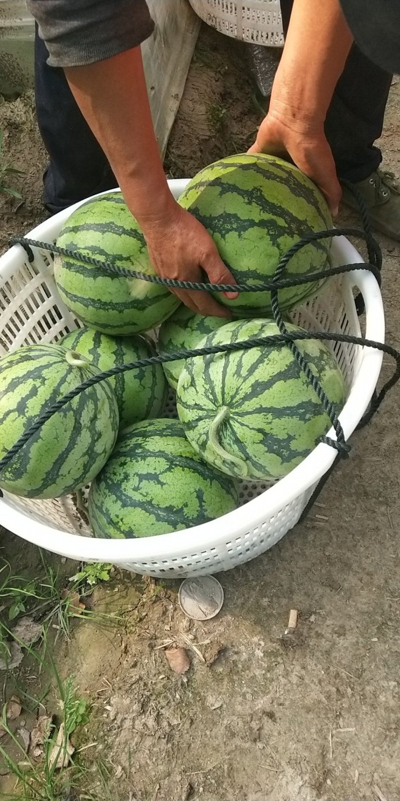 8424以上市，