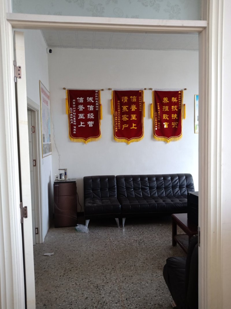 杂交野兔兔子种兔肉兔可分期付款送货到家免费学习技术