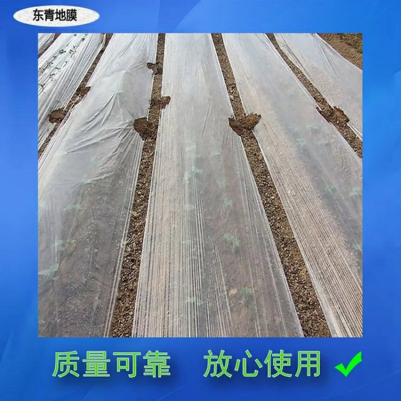 农用塑料薄膜黑白色透明加厚除草地膜蔬菜保鲜保温树苗保护专