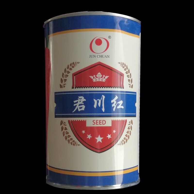 杂交一代君川红胡萝卜种子改良三红七寸参新种