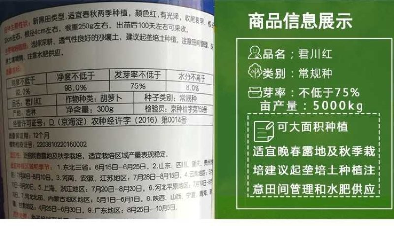 杂交一代君川红胡萝卜种子改良三红七寸参新种
