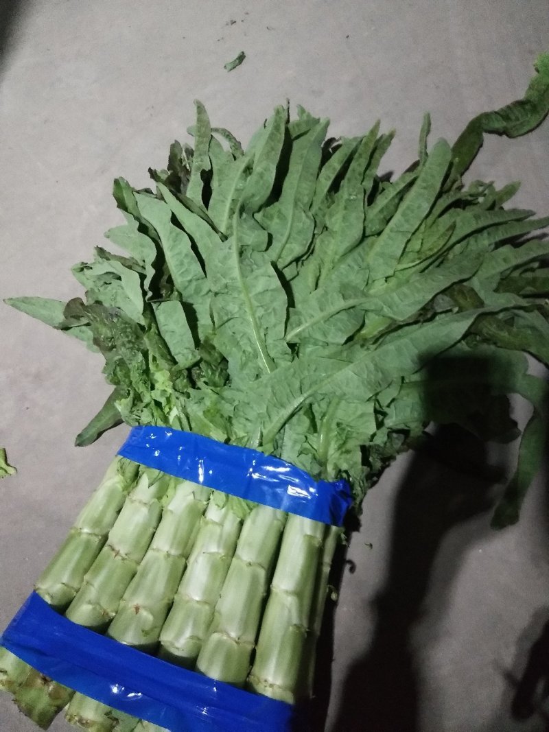 三青莴苣