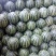 泗水西瓜大量上市