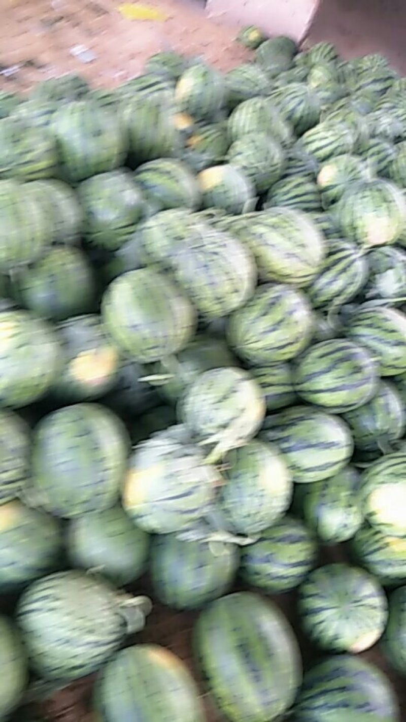 西瓜