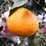 四川春见柑桔，粑粑柑，纯甜粑粑柑，11月中旬上市，预售期