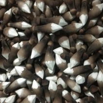 一级黑鸡枞