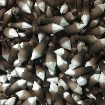 一级黑鸡枞