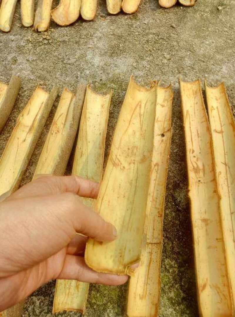 桂皮