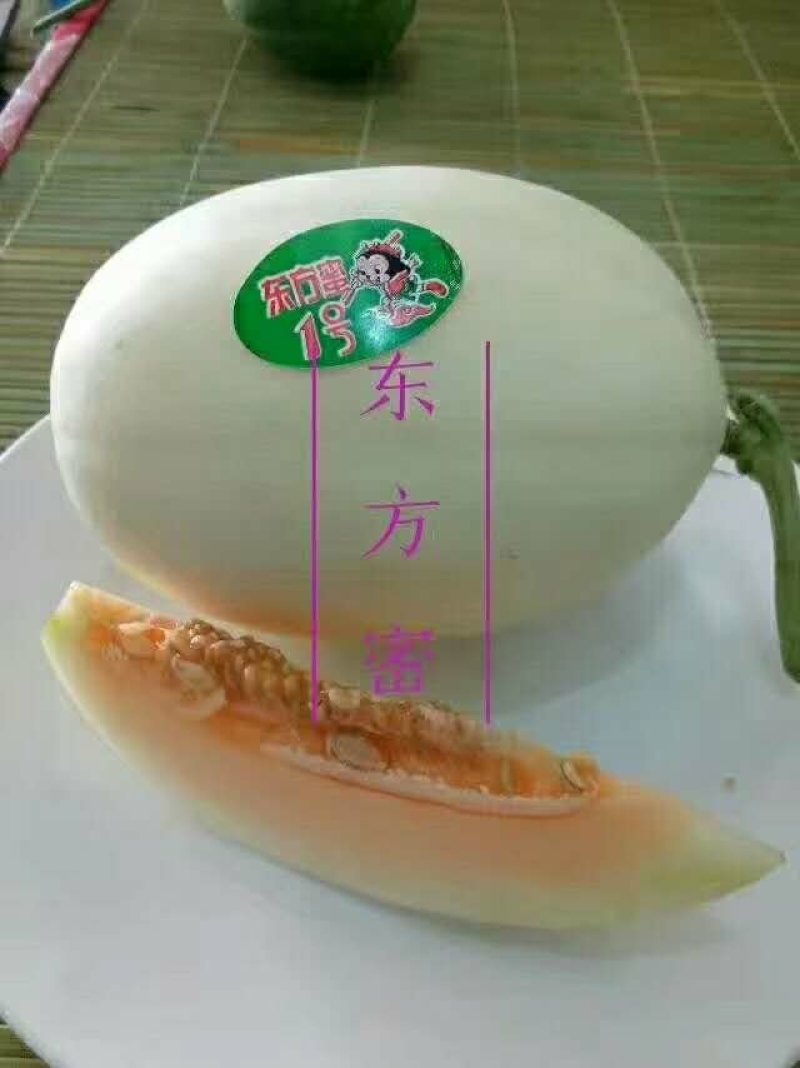 山东单县甜瓜大量上市，货源充足，瓜甜可口，种植经验丰富