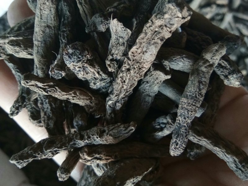 仙茅野生新鲜干货无硫熏批发零售一公斤起包邮