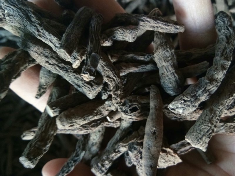 仙茅野生新鲜干货无硫熏批发零售一公斤起包邮