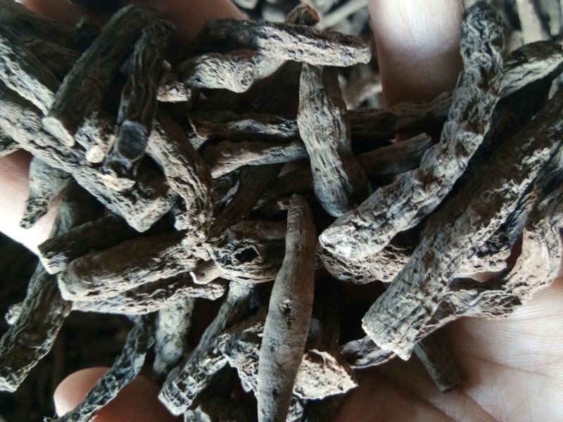 仙茅野生新鲜干货无硫熏批发零售一公斤起包邮