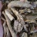 香加皮河南香五加皮无硫实拍图干净无杂一公斤起包邮