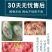 新款多肉植物组合盆栽多肉绿植花卉室内批发肉肉含盆老