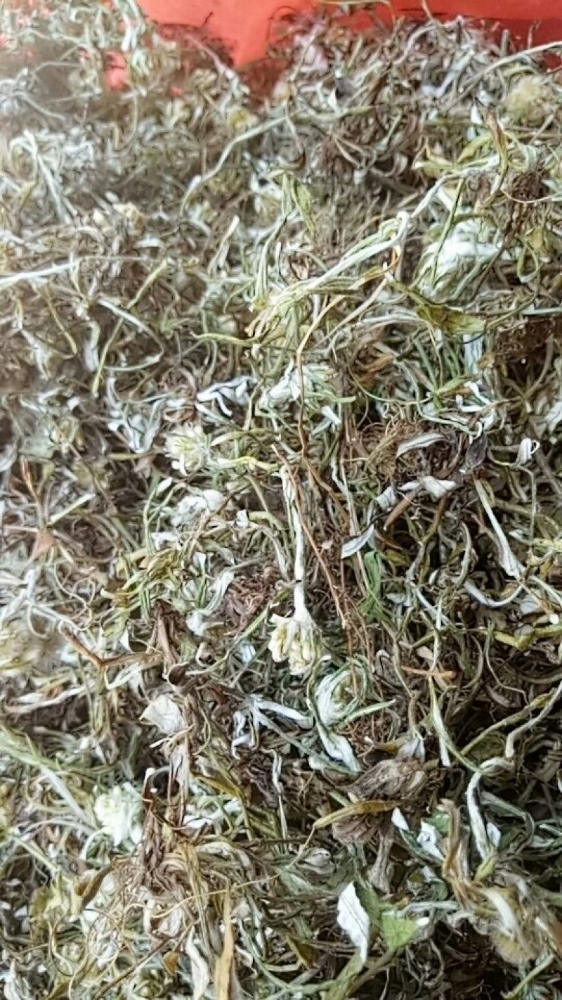天青地白草