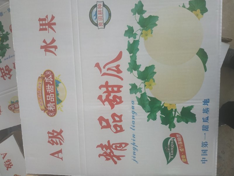 甜瓜