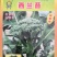 西兰苔种子5g/袋