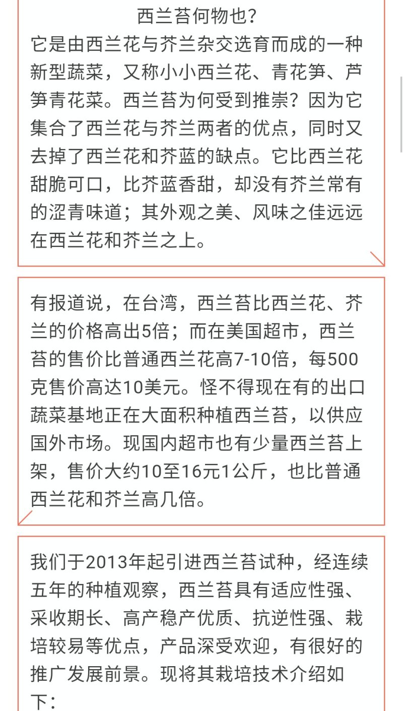 西兰苔种子5g/袋