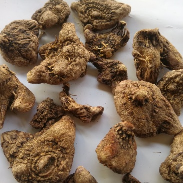 白芨紫花白芨白芨白芨