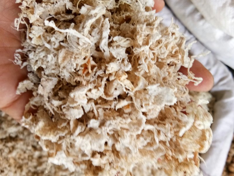 橘络正品无硫实物拍摄干净无杂量大从优
