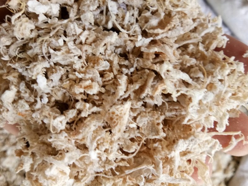 橘络正品无硫实物拍摄干净无杂量大从优