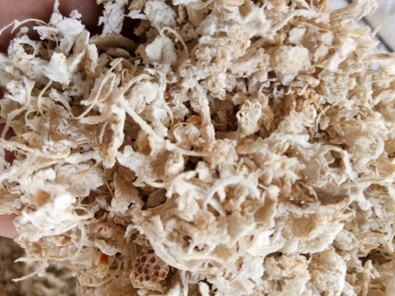 橘络正品无硫实物拍摄干净无杂量大从优