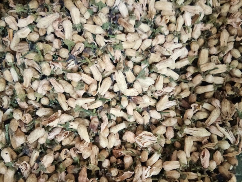 玳玳花正品无硫天然可泡茶饮一公斤起包邮