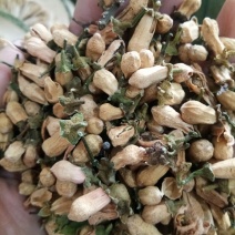 玳玳花正品无硫天然可泡茶饮一公斤起包邮