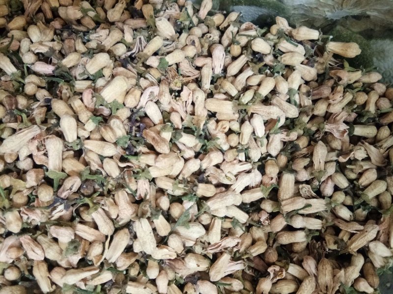 玳玳花正品无硫天然可泡茶饮一公斤起包邮