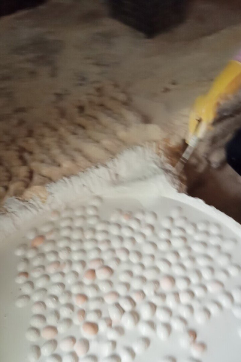 河南变蛋双黄蛋五香变蛋大量有货