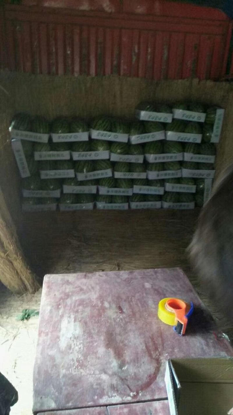 【美都西瓜】精品西瓜基地！诚信代办、质量保证