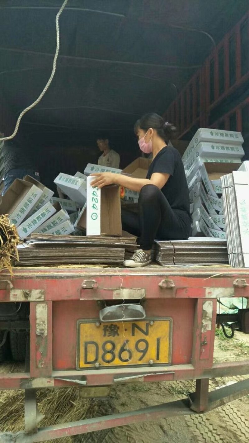 【美都西瓜】精品西瓜基地！诚信代办、质量保证