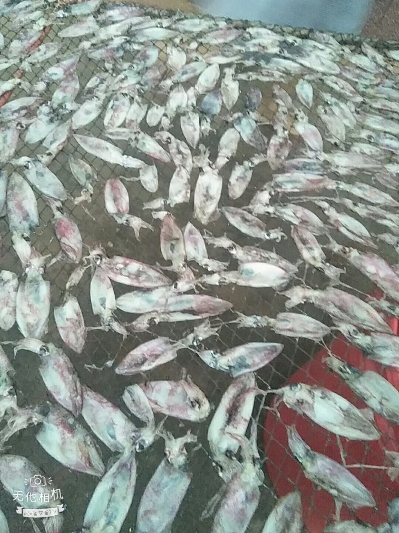 海南玉包鱼虾干海鲜