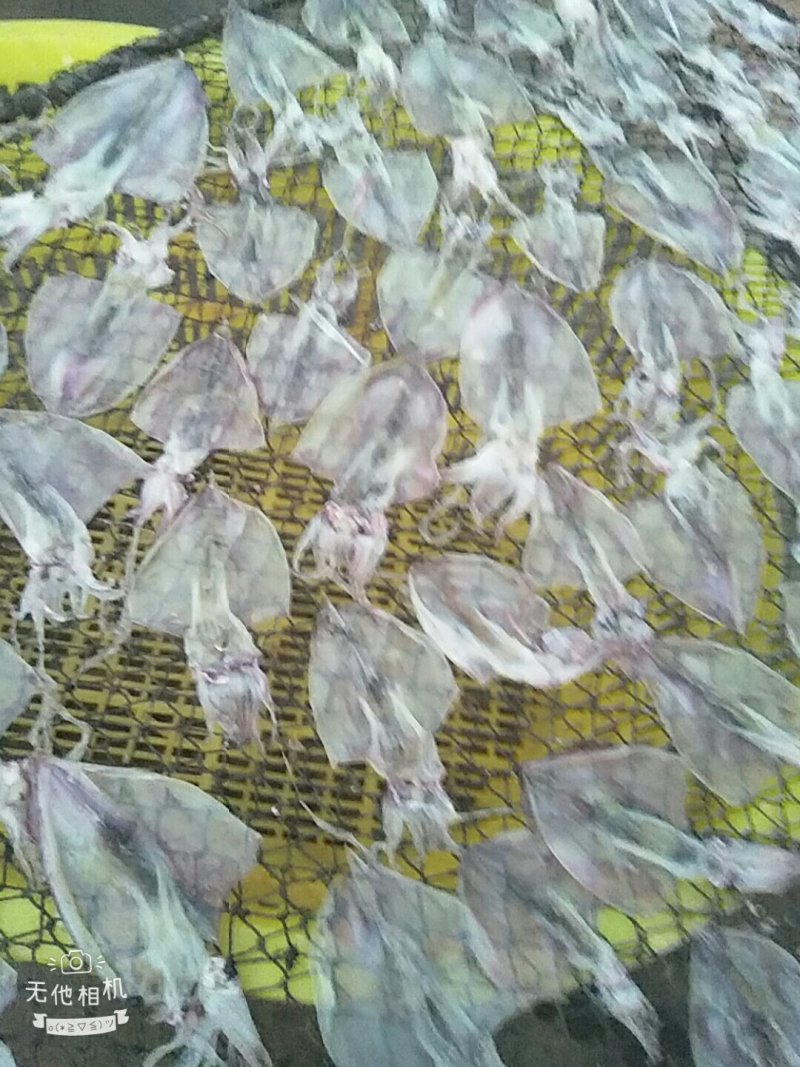 海南玉包鱼虾干海鲜