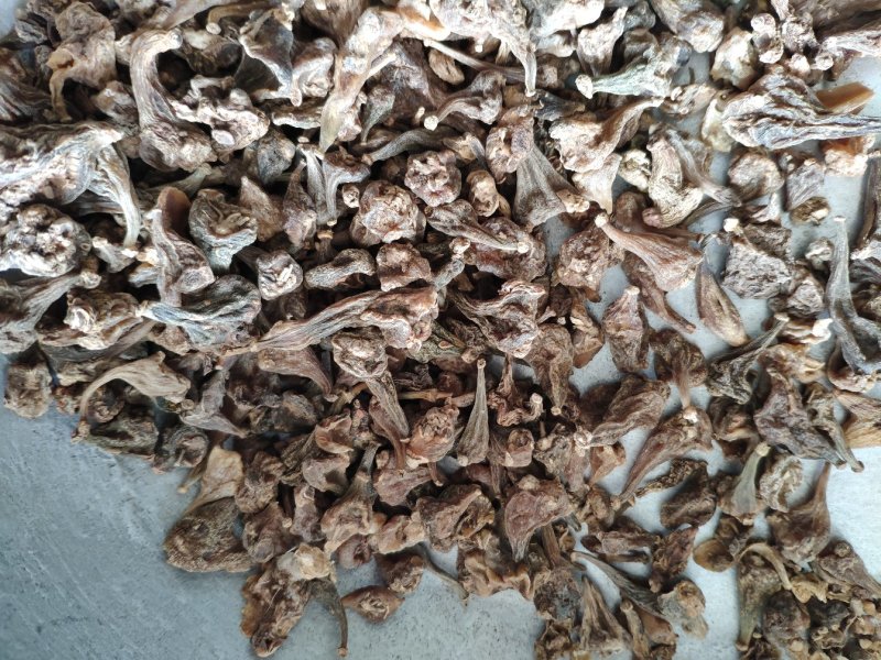 毛慈菇冰球子货好量大不满意保退换数量有限