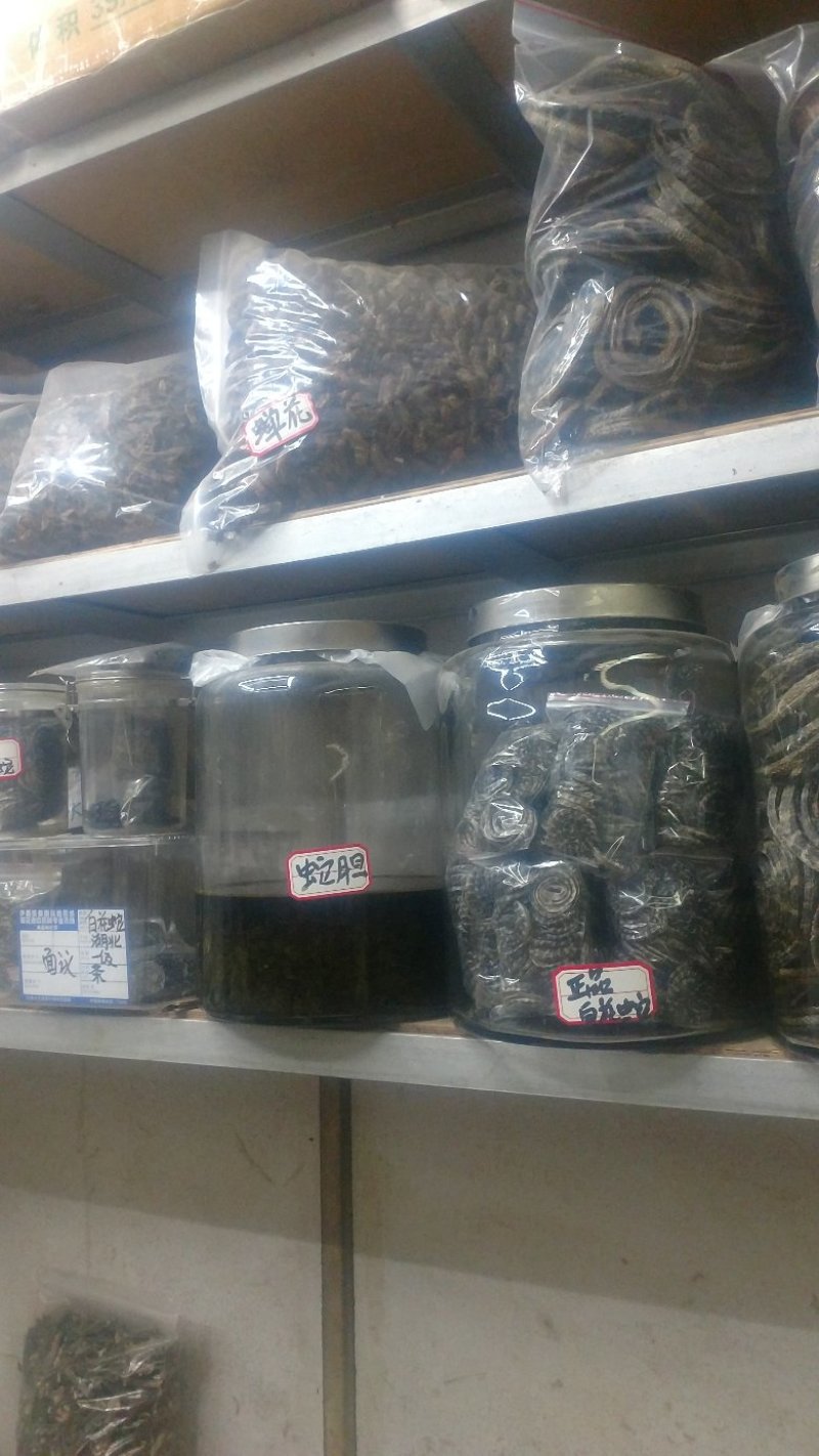 蛇胆，鲜蛇胆，干蛇胆