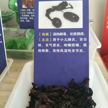 蛇胆，鲜蛇胆，干蛇胆